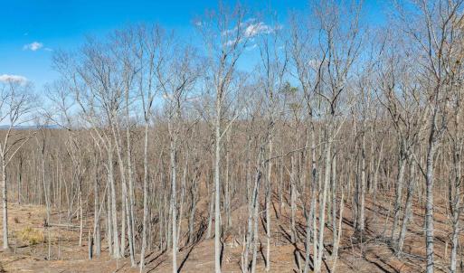 Photo #62 of 159 WARREN FERRY RD, SCOTTSVILLE, VA 136.0 acres