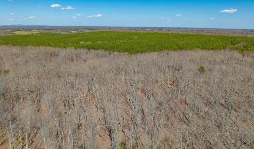 Photo #60 of 159 WARREN FERRY RD, SCOTTSVILLE, VA 136.0 acres