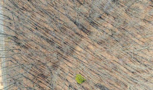Photo #47 of 159 WARREN FERRY RD, SCOTTSVILLE, VA 136.0 acres