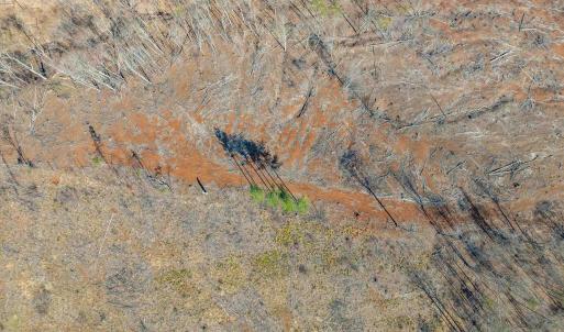 Photo #45 of 159 WARREN FERRY RD, SCOTTSVILLE, VA 136.0 acres