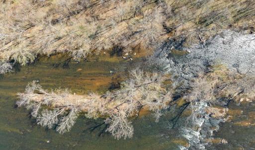 Photo #5 of 159 WARREN FERRY RD, SCOTTSVILLE, VA 136.0 acres