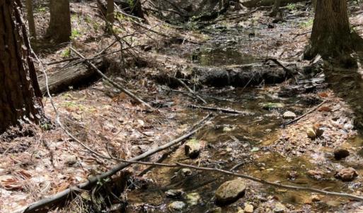 Photo #42 of 159 WARREN FERRY RD, SCOTTSVILLE, VA 136.0 acres
