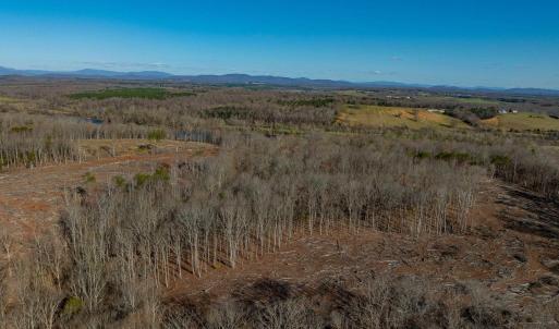 Photo #33 of 159 WARREN FERRY RD, SCOTTSVILLE, VA 136.0 acres