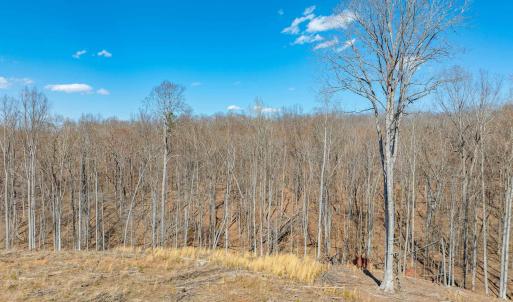 Photo #63 of 159 WARREN FERRY RD, SCOTTSVILLE, VA 136.0 acres