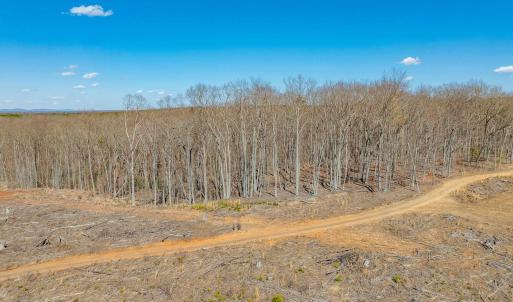Photo #51 of 159 WARREN FERRY RD, SCOTTSVILLE, VA 136.0 acres