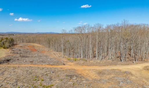 Photo #52 of 159 WARREN FERRY RD, SCOTTSVILLE, VA 136.0 acres