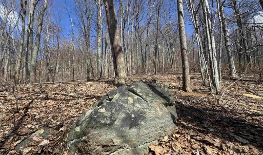 Photo #10 of TBD FAR KNOB CLIMB, NELLYSFORD, VA 1.9 acres