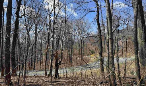 Photo #7 of TBD FAR KNOB CLIMB, NELLYSFORD, VA 1.9 acres