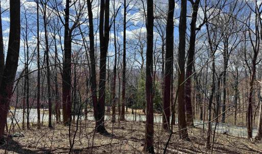 Photo #6 of TBD FAR KNOB CLIMB, NELLYSFORD, VA 1.9 acres