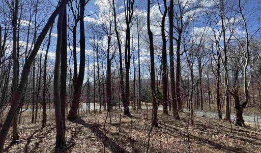 Photo #9 of TBD FAR KNOB CLIMB, NELLYSFORD, VA 1.9 acres