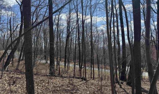 Photo #8 of TBD FAR KNOB CLIMB, NELLYSFORD, VA 1.9 acres