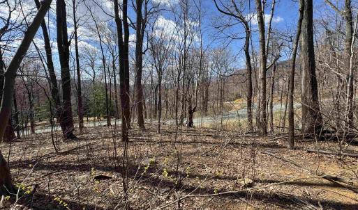 Photo #5 of TBD FAR KNOB CLIMB, NELLYSFORD, VA 1.9 acres