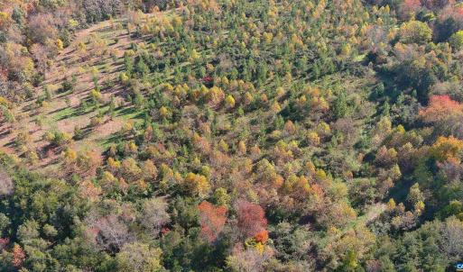 Photo #7 of TBD OLD BARBOURSVILLE RD, GORDONSVILLE, VA 135.8 acres