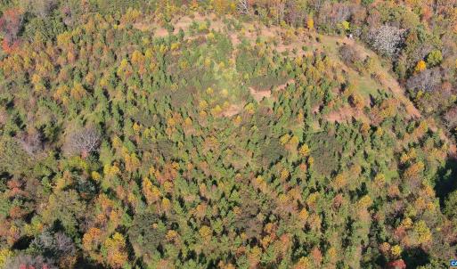 Photo #4 of TBD OLD BARBOURSVILLE RD, GORDONSVILLE, VA 135.8 acres