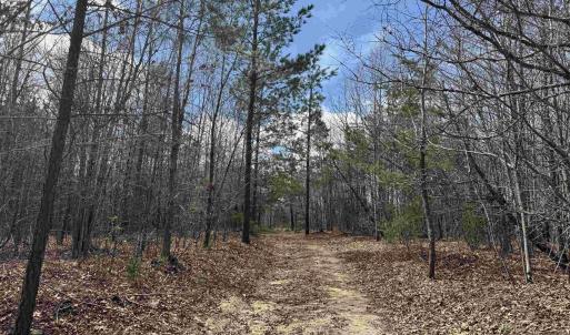 Photo #7 of 438 MOUNTAIN TOP DR, NEW CANTON, VA 227.8 acres