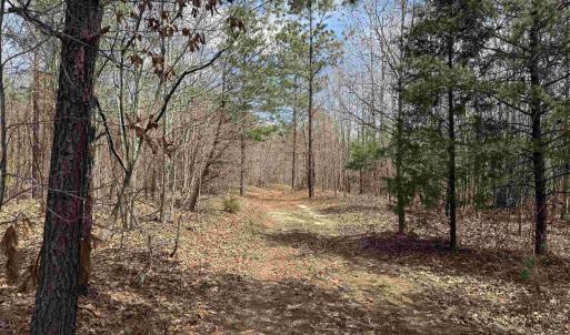 Photo #5 of 438 MOUNTAIN TOP DR, NEW CANTON, VA 227.8 acres