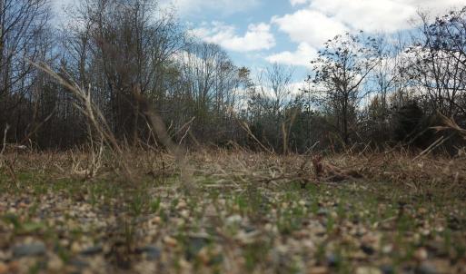 Photo #12 of 438 MOUNTAIN TOP DR, NEW CANTON, VA 227.8 acres