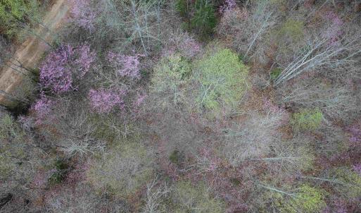 Photo #18 of 438 MOUNTAIN TOP DR, NEW CANTON, VA 227.8 acres