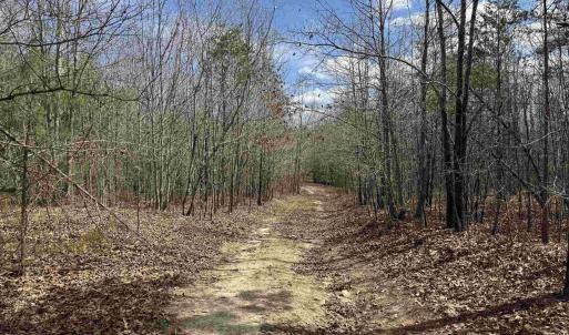 Photo #6 of 438 MOUNTAIN TOP DR, NEW CANTON, VA 227.8 acres