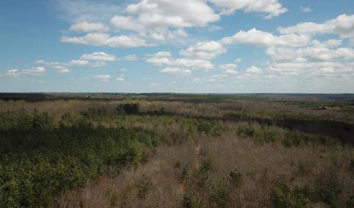 Photo #10 of 438 MOUNTAIN TOP DR, NEW CANTON, VA 227.8 acres