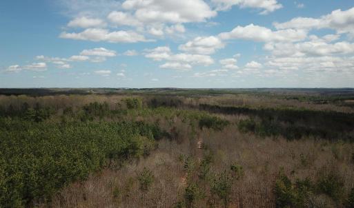 Photo #13 of 438 MOUNTAIN TOP DR, NEW CANTON, VA 227.8 acres
