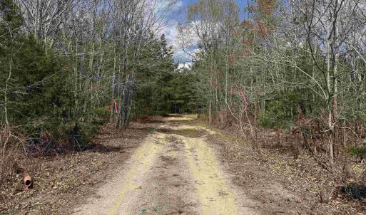 Photo #8 of 438 MOUNTAIN TOP DR, NEW CANTON, VA 227.8 acres