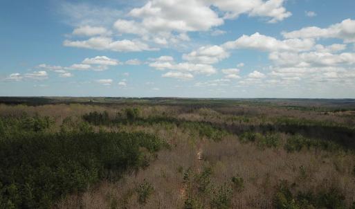 Photo #11 of 438 MOUNTAIN TOP DR, NEW CANTON, VA 227.8 acres