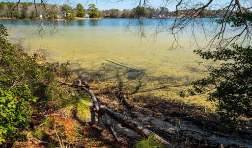 Photo #13 of FOX POINT RD, REEDVILLE, VA 58.4 acres
