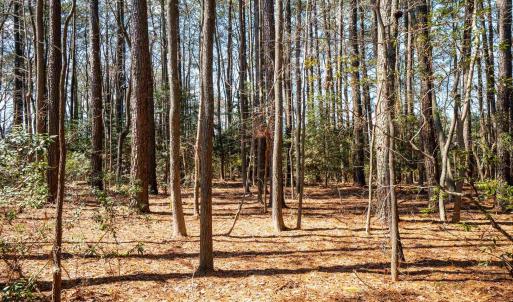 Photo #7 of FOX POINT RD, REEDVILLE, VA 58.4 acres