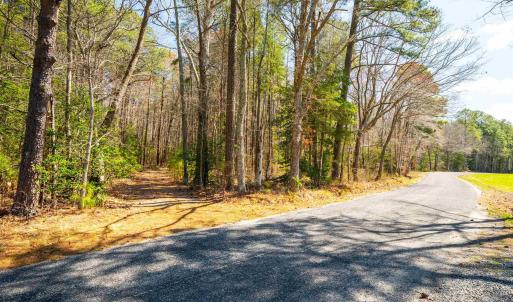 Photo #6 of FOX POINT RD, REEDVILLE, VA 58.4 acres