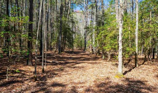 Photo #24 of FOX POINT RD, REEDVILLE, VA 58.4 acres