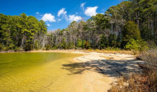 Photo #19 of FOX POINT RD, REEDVILLE, VA 58.4 acres
