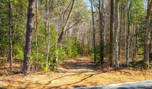 Photo #17 of FOX POINT RD, REEDVILLE, VA 58.4 acres