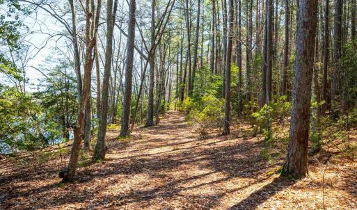 Photo #26 of FOX POINT RD, REEDVILLE, VA 58.4 acres