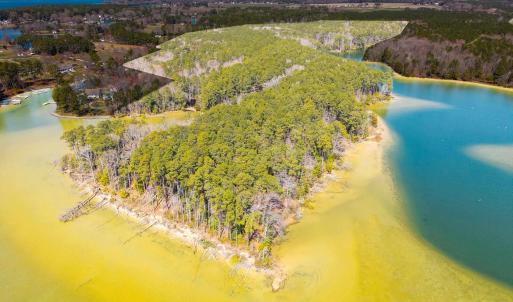 Photo #2 of FOX POINT RD, REEDVILLE, VA 58.4 acres
