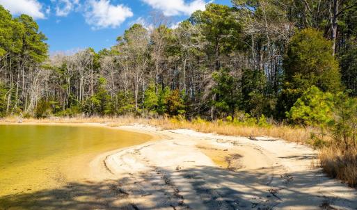 Photo #18 of FOX POINT RD, REEDVILLE, VA 58.4 acres