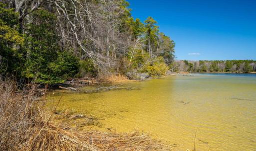 Photo #12 of FOX POINT RD, REEDVILLE, VA 58.4 acres