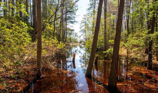 Photo #22 of FOX POINT RD, REEDVILLE, VA 58.4 acres