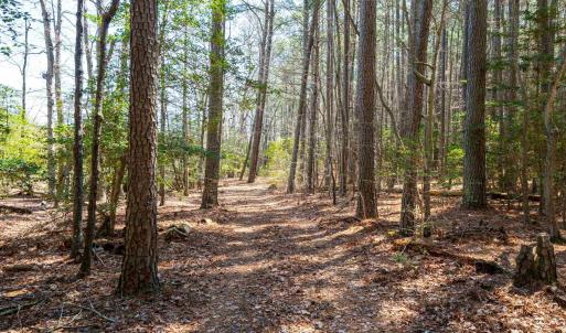 Photo #25 of FOX POINT RD, REEDVILLE, VA 58.4 acres