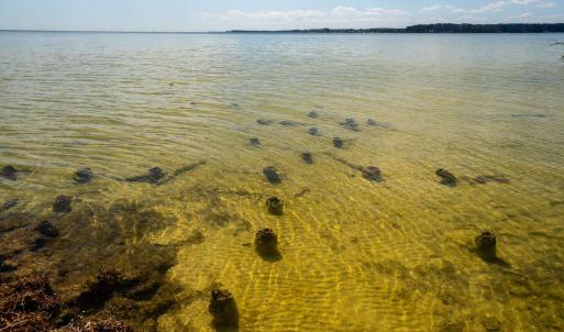 Photo #8 of FOX POINT RD, REEDVILLE, VA 58.4 acres