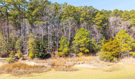 Photo #35 of FOX POINT RD, REEDVILLE, VA 58.4 acres