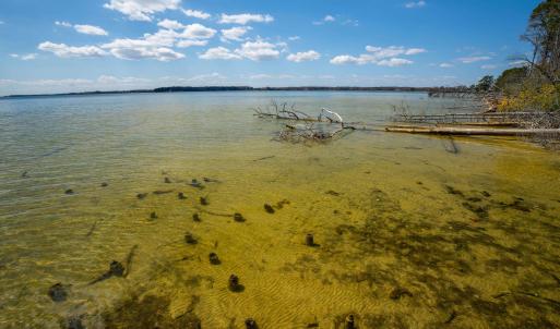 Photo #10 of FOX POINT RD, REEDVILLE, VA 58.4 acres