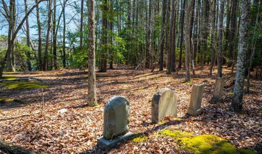 Photo #28 of FOX POINT RD, REEDVILLE, VA 58.4 acres
