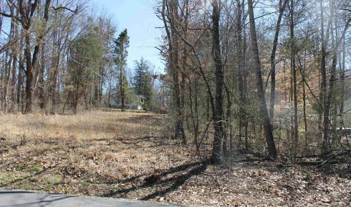 Photo #6 of 562 LOCUST DR, LOUISA, VA 0.2 acres