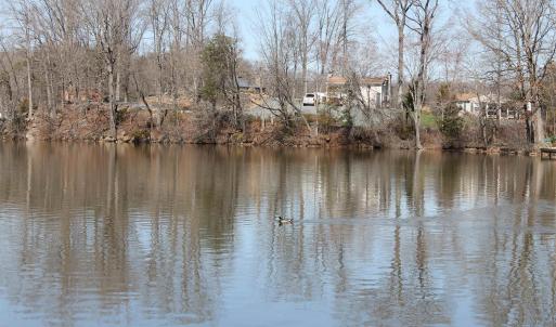 Photo #14 of 562 LOCUST DR, LOUISA, VA 0.2 acres