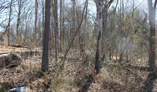 Photo #8 of 562 LOCUST DR, LOUISA, VA 0.2 acres