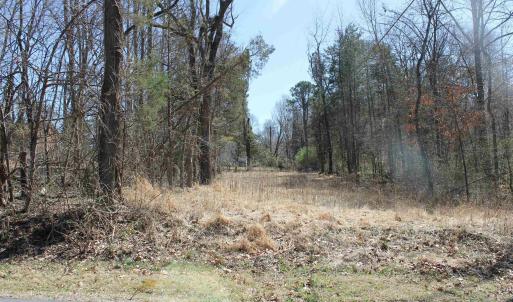 Photo #5 of 562 LOCUST DR, LOUISA, VA 0.2 acres