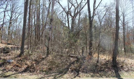 Photo #4 of 562 LOCUST DR, LOUISA, VA 0.2 acres