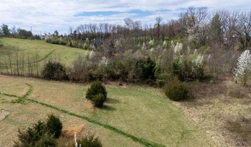 Photo #14 of 12039 HUPP RD, BROADWAY, VA 8.2 acres