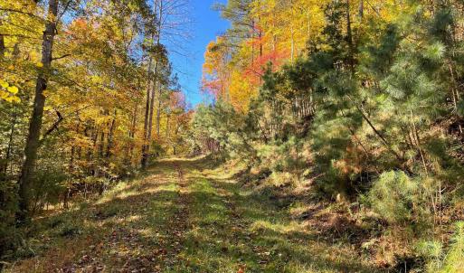 Photo #18 of GARLAND DR, CHARLOTTESVILLE, VA 583.0 acres